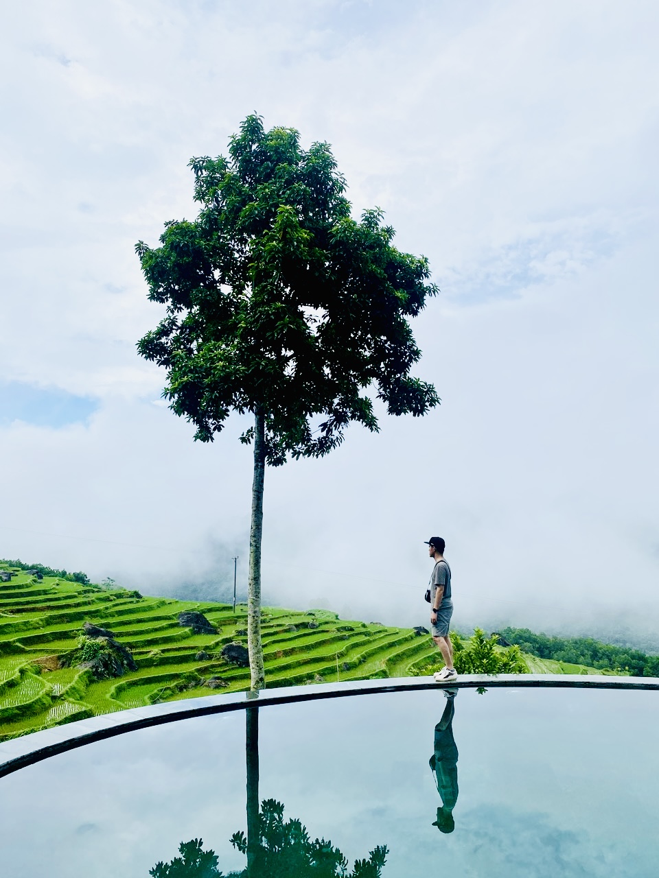 Tại Sao Chúng Ta Sống Ở Thành Phố Nhưng Lại Luôn Tìm Về Với Núi Rừng Để Nghỉ Ngơi?